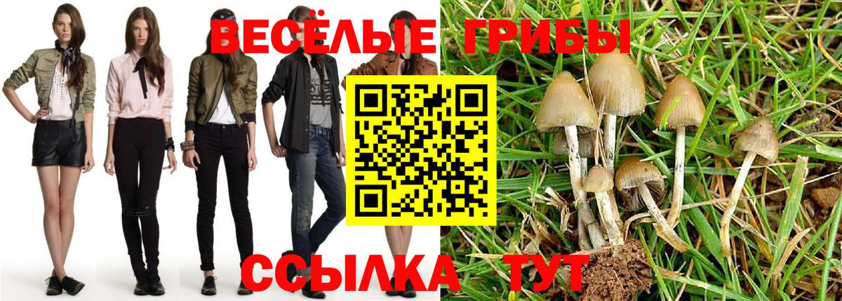 Галлюциногенные грибы прущие грибы  Галлюциногенные грибы мухоморы  Павлово  Вход с VPN 