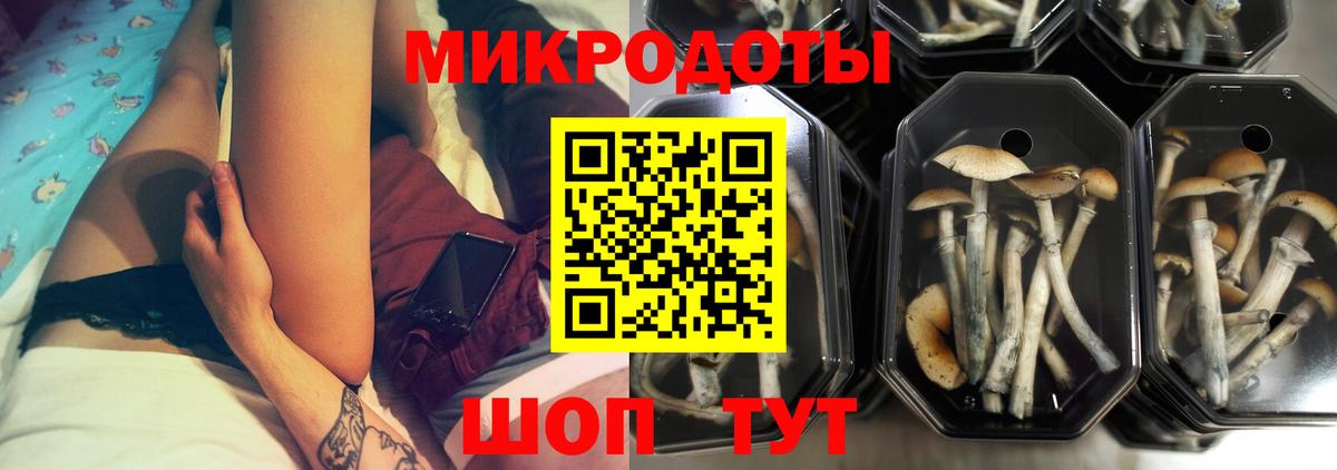 Галлюциногенные грибы GOLDEN TEACHER Павлово